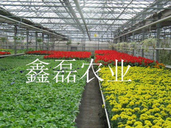 溫室噴灌系統(tǒng)